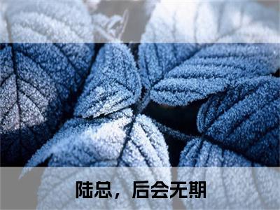 在线阅读（陆总，后会无期）莫如雪陆易寒：结局+番外看点十足全文+后续