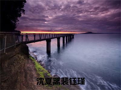 沈夏离裴钰瑾小说完本章节前文+全篇阅读（沈夏离裴钰瑾）连载中