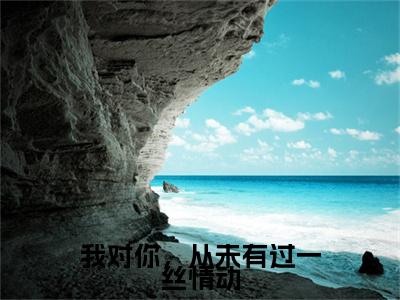 我对你，从未有过一丝情动小说(苏幼薇沈叙白)全文+后续（我对你，从未有过一丝情动）畅享阅读