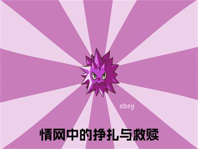 情网中的挣扎与救赎许暖月梁彻小说整本+后续（许暖月梁彻）清爽版阅读