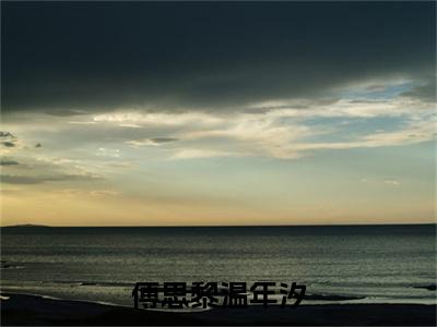 热文推荐温年汐傅思黎小说（傅思黎温年汐）前传列表
