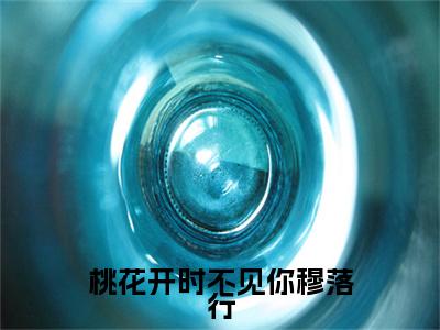 桃花开时不见你穆落行特别篇章节目录+章节前文（林栖穆落行）TXT清爽版在线