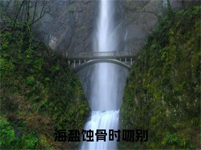 海盐蚀骨时吻别（许念慈沈叙年）结局+番外抖音新书_海盐蚀骨时吻别小说全文免费阅读最新章节列表（许念慈沈叙年）