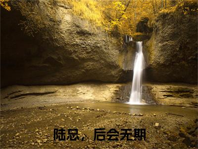 陆总，后会无期小说(莫如雪陆易寒)全本完整阅读最新章节（陆总，后会无期）_笔趣阁