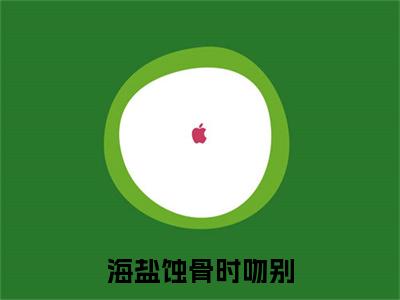 许念慈沈叙年是什么小说(海盐蚀骨时吻别)（许念慈沈叙年）全本完整清爽版在线+无广告结局