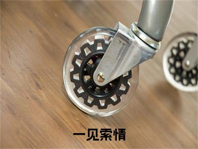 一见索情（秦牧琛虞恩）结局+番外新上热文大结局_一见索情小说免费阅读最新章节列表笔趣阁（秦牧琛虞恩）