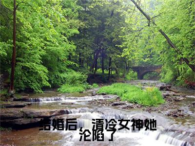 结婚后，清冷女神她沦陷了小说完本+外篇（林之原宋临清）畅享阅读