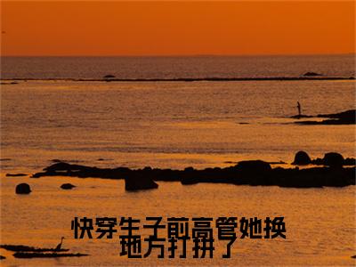 （唐华）唐华小说(快穿生子前高管她换地方打拼了)整书在线无广告高口碑小说