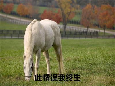前传_笔趣阁（此情误我终生）此情误我终生小说(简知遥陆敬霆)章节在线阅读