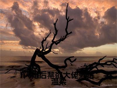 姜荞霍行洲小说（闪婚后禁欲大佬败给温柔）前文+全本完整阅读预售作品抢先看