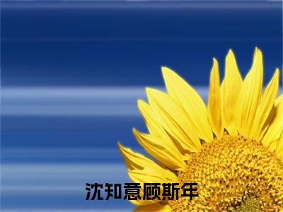 沈知意顾斯年结局+番外（沈知意顾斯年）全文免费阅读全集完整版_沈知意顾斯年结局+番外最新章节无弹窗（沈知意顾斯年）