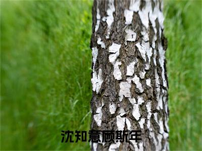 沈知意顾斯年彩蛋+起始篇章（沈知意顾斯年）阅读
