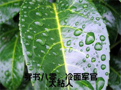 林知月江屿(穿书八零，冷面军官太粘人)+前传（林知月江屿）：结局+番外评价五颗星
