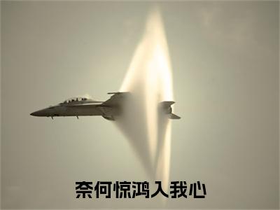 江疏桐段知许：+后续现已上架（奈何惊鸿入我心）：结局+番外评价五颗星