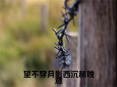 顾南辰林晚意后续(望不穿月影西沉林晚意)（顾南辰林晚意）整本畅享在线+无广告结局