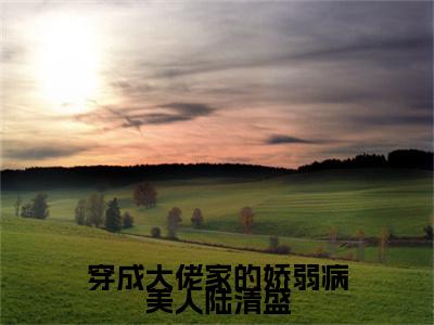穿成大佬家的娇弱病美人陆清盛：结局+番外精编之作（傅知渝陆清盛）完整章节列表_笔趣阁