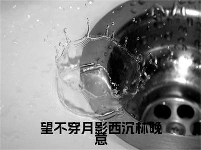望不穿月影西沉林晚意小说(顾南辰林晚意)最近更新（望不穿月影西沉林晚意）整本无套路阅读