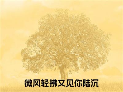（林书意陆沉）林书意陆沉(微风轻拂又见你陆沉)整书在线无广告高口碑小说