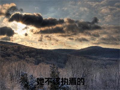 陆时愿叶芷小说热门（她不该执着的结局+番外）txt阅读大结局-抖音近期热门她不该执着的结局+番外全文免费