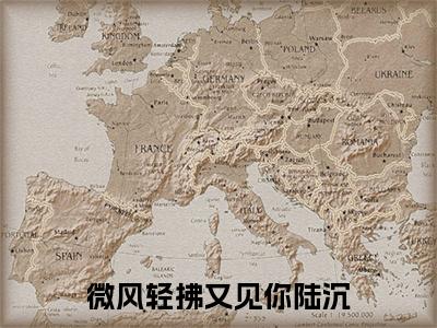 热文推荐微风轻拂又见你陆沉小说大结局（林书意陆沉）书荒必看列表