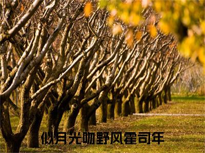 前传_笔趣阁（梁岁霍司年）梁岁霍司年小说(似月光吻野风霍司年)章节在线阅读