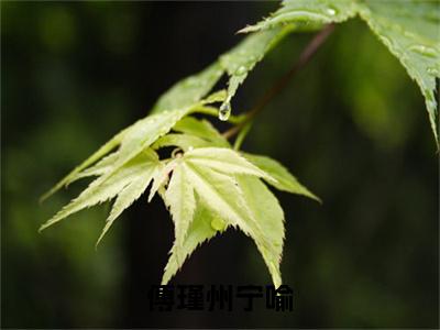 宁喻傅瑾州：+番外+后续在线阅读傅瑾州宁喻