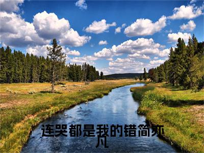尹蜜简亦凡(连哭都是我的错简亦凡)（尹蜜简亦凡）全书+后续+结局在线阅读