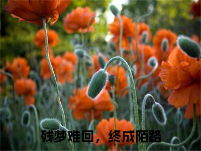残梦难回，终成陌路（肖承泽白若溪）小说全文免费读无弹窗大结局_残梦难回，终成陌路小说全文免费阅读