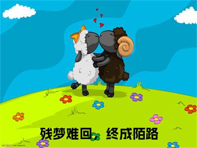 （书荒必看）残梦难回，终成陌路小说(肖承泽白若溪)无删减在线下载阅读最终终章