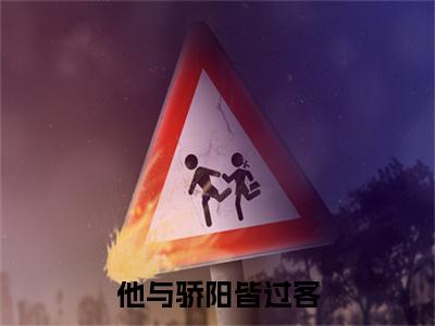 他与骄阳皆过客 小说小说全集+延伸+完本（沈璟诚姜清苒）畅享在线阅读