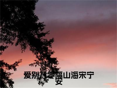 周宴淮宋宁安：：结局+番外评价五颗星-爱别八零隔山海宋宁安：结局+番外新上热文