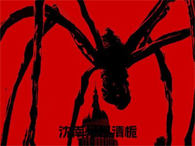程清栀沈南州是什么小说(沈南州程清栀)（程清栀沈南州）全本完整清爽版在线+无广告结局
