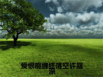 爱恨痴缠终落空许庭深小说（钟晚意许庭深）TXT无套路在线+无广告结局