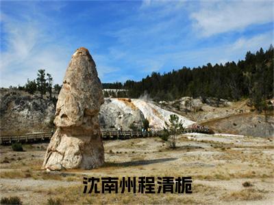 程清栀沈南州：结局+番外全文免费阅读无弹窗大结局_（程清栀沈南州）程清栀沈南州：结局+番外最新章节列表_笔趣阁（程清栀沈南州）