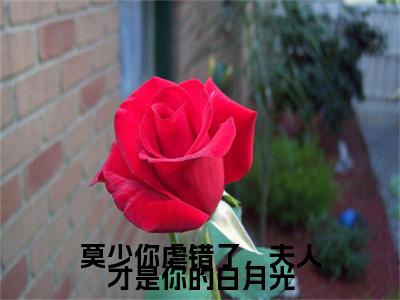 莫少你虐错了，夫人才是你的白月光附加完整在线阅读（莫尧臣洛瑾熙）最近更新列表
