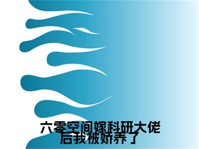 苏如顾海洋:全文+番外（六零空间嫁科研大佬后我被娇养了）TXT+后续+结局在线阅读