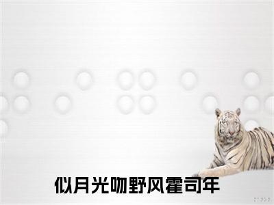 (番外)+(全文)梁岁霍司年(似月光吻野风霍司年：全文+结局+番外)全文免费阅读无弹窗大结局_(梁岁霍司年)最新章节列表_笔趣阁(似月光吻野风霍司年：全文+结局+番外)