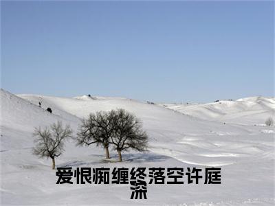 最新章节_笔趣阁（爱恨痴缠终落空许庭深）爱恨痴缠终落空许庭深小说(钟晚意许庭深)在线畅读阅读