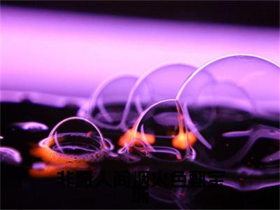 非愿人间烟火色甄宝珠（周邸甄宝珠小说）全文免费阅读无弹窗大结局_周邸甄宝珠小说免费阅读最新章节列表