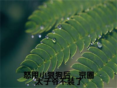 高分_怒甩小狼狗后，京圈太子爷不装了小说(黎久微)（怒甩小狼狗后，京圈太子爷不装了）全本完整阅读