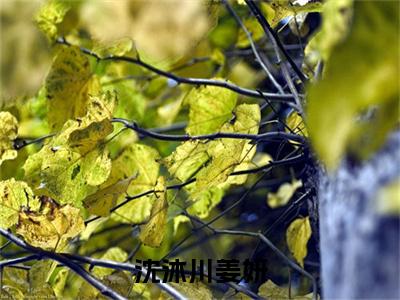 沈沐川姜妍：+后续现已上架（姜妍沈沐川）：结局+番外评价五颗星