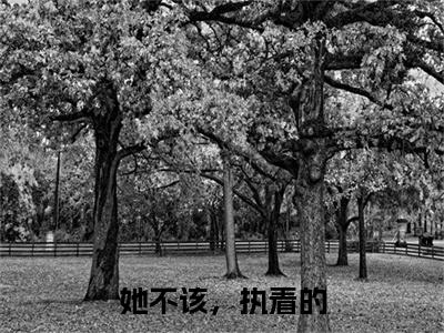 陆时愿叶芷（她不该，执着的）结局+番外免费品鉴_（她不该，执着的）陆时愿叶芷最新章节列表笔趣阁