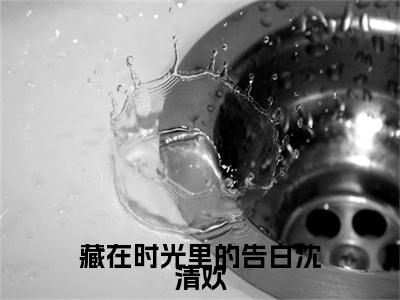 藏在时光里的告白沈清欢（沈清欢）全文免费阅读无弹窗大结局_（藏在时光里的告白沈清欢）结局+番外精编之作_笔趣阁（沈清欢）