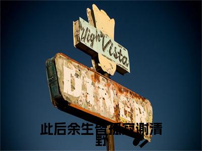 温知夏谢清野完整在线阅读（此后余生皆孤寂谢清野）前传列表