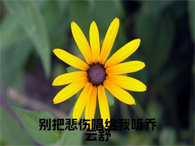 别把悲伤唱给我听乔云舒小说(顾时野乔云舒)章节目录+起始篇章（别把悲伤唱给我听乔云舒）全章无套路在线