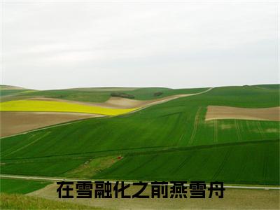 （梁冰燕雪舟）在雪融化之前燕雪舟小说最终篇章章节在线无广告高口碑小说