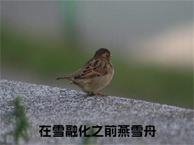 独家在雪融化之前燕雪舟无删减(梁冰燕雪舟)（在雪融化之前燕雪舟）TXT免费版阅读