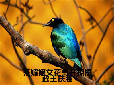 白清欢池暝（茶媚嫡女花式开撩摄政王扶腰）全文免费阅读无弹窗_白清欢池暝最新小说_笔趣阁