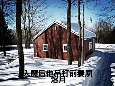 殊玄镜夙溶月(入魔后他吊打前妻夙溶月)：结局+番外评价五颗星