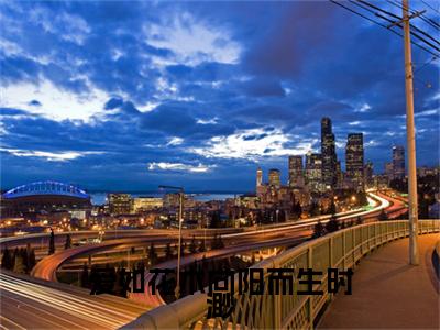 爱如花木向阳而生时渺（谢行舟时渺）全文免费阅读无弹窗大结局_谢行舟时渺小说结局+番外看点十足
